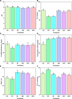 An investigation into biochar, acid-modified biochar, and wood vinegar on the remediation of saline−alkali soil and the growth of strawberries